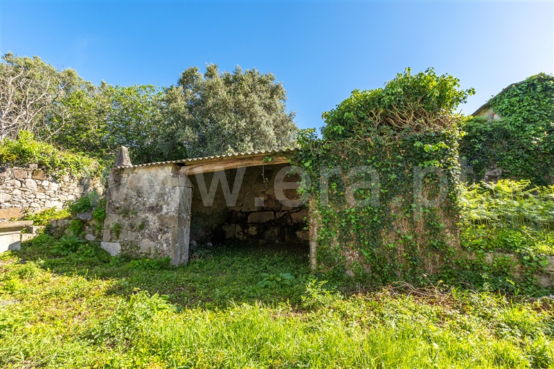 Moradia Geminada T3 com Jardim Caminha, Riba de Âncora - 1474932 - 17