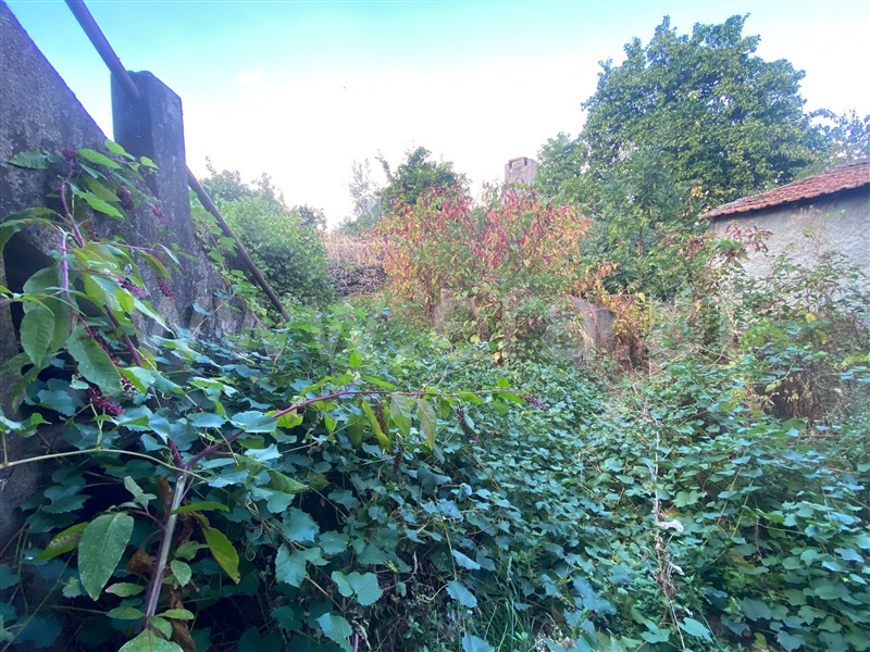 Moradia Geminada T3 Castelo Branco, Ninho do Açor e Sobral do Campo - 1514414 - 7