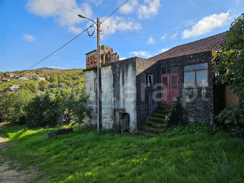 Moradia T3 à venda em Jarmelo São Miguel, Guarda — foto 3