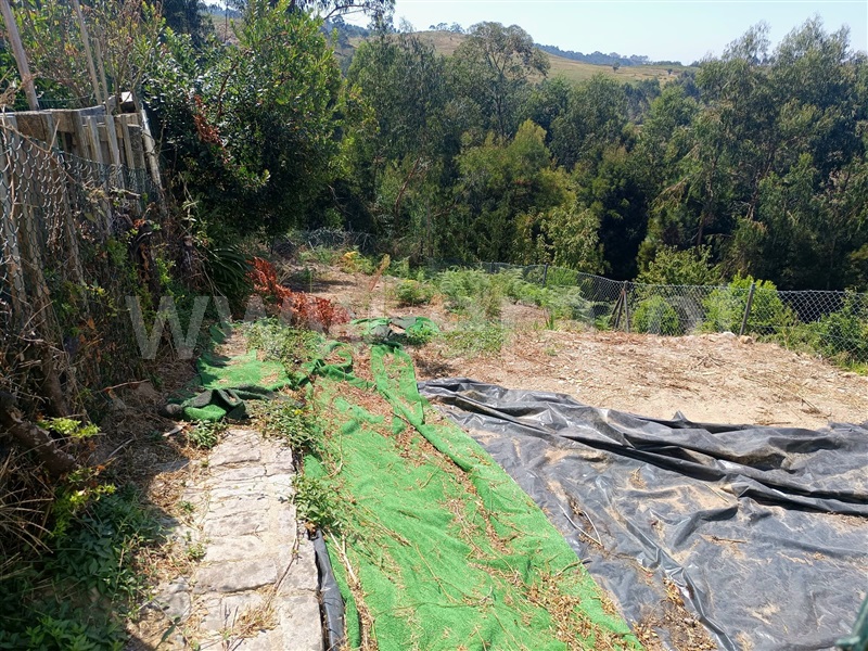 Moradia Geminada T3 Lousada, Lustosa e Barrosas (Santo Estêvão) - 1508799 - 5