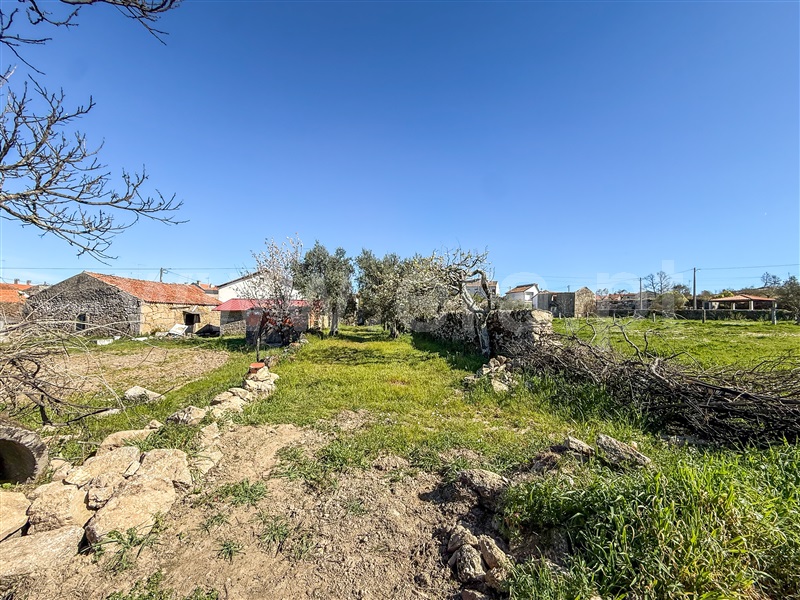 Moradia T3 à venda em Cerejo, Pinhel — foto 18
