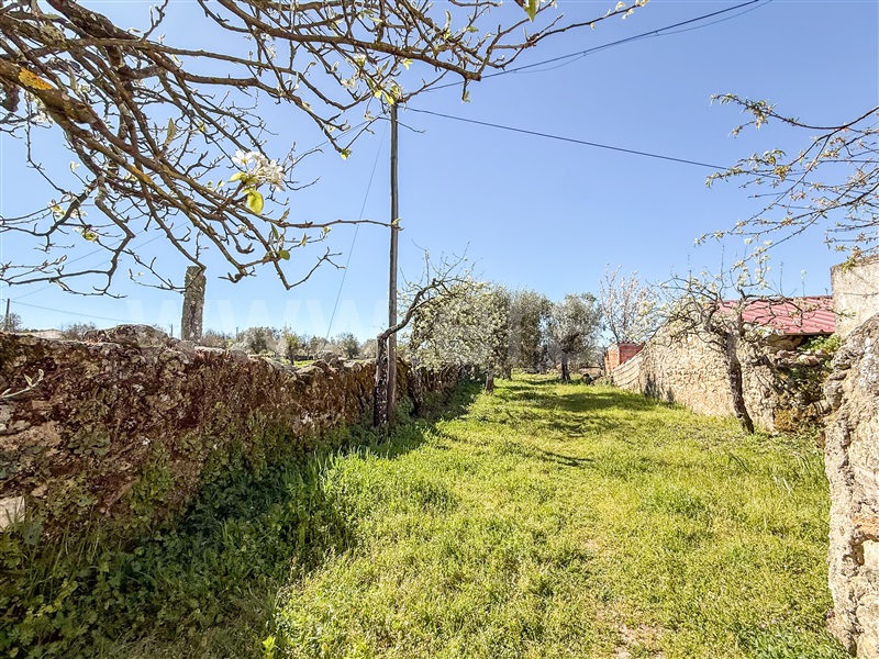 Moradia T3 à venda em Cerejo, Pinhel — foto 17