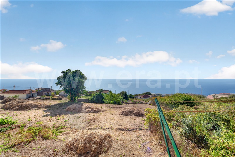 Moradia T3 à venda em Gaula, Santa Cruz — foto 10