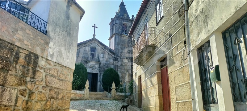 Moradia T4 à venda em Santiago de Cassurrães e Póvoa de Cervães, Mangualde — foto 3