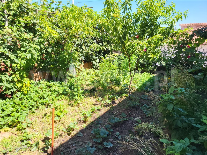 Moradia Geminada T4 Mirandela, Passos - 1513870 - 8
