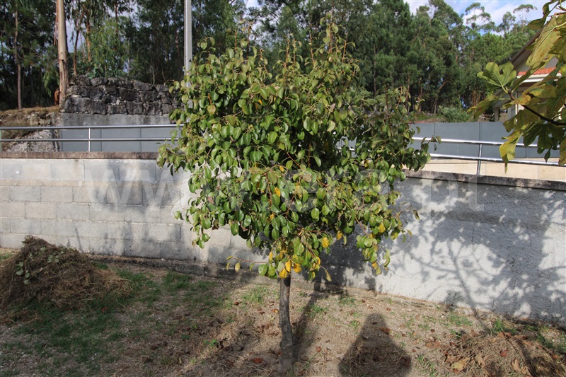 Moradia T4 à venda em Sobradelo da Goma, Póvoa de Lanhoso — foto 16