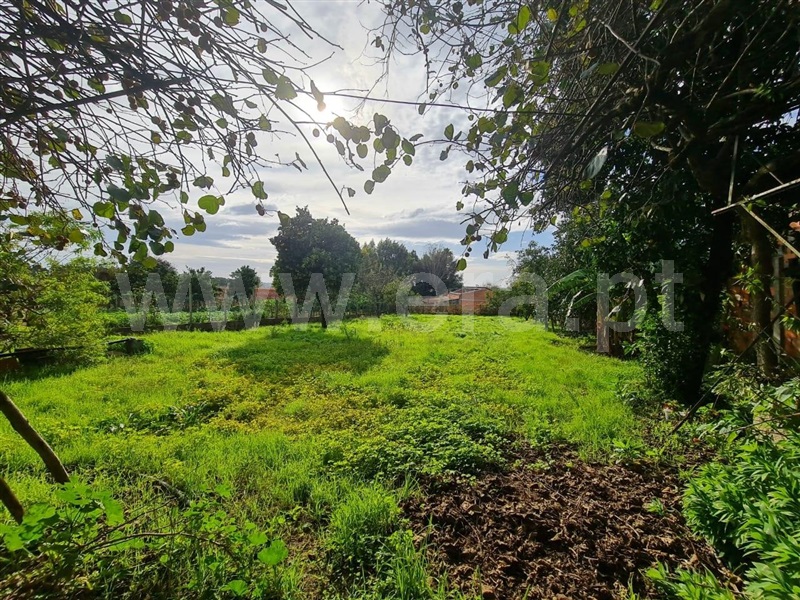 Moradia T5 à venda em Recardães e Espinhel, Águeda — foto 11