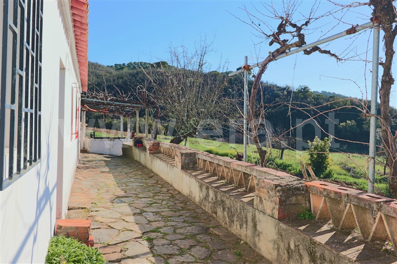 Moradia Geminada T5 Almodôvar, São Barnabé - 1220295 - 13
