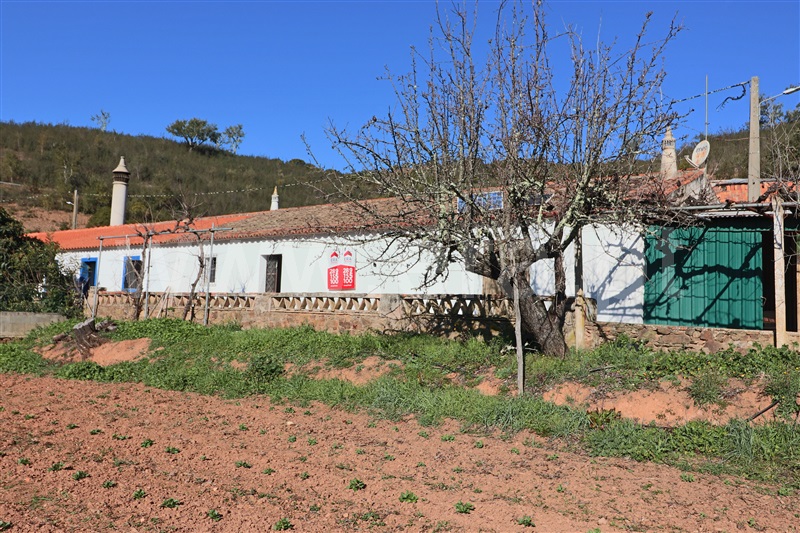 Moradia Geminada T5 / Almodôvar, São Barnabé