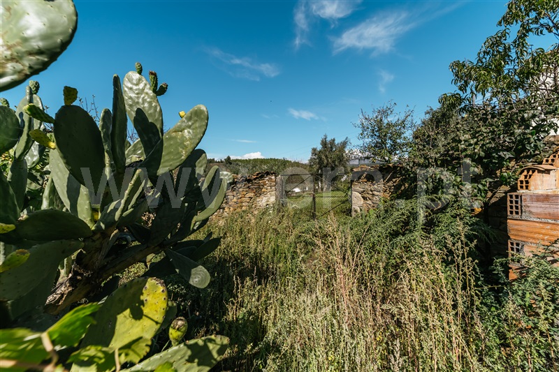 Moradia T5 com Jardim Covilhã, Paul - 1439482 - 18