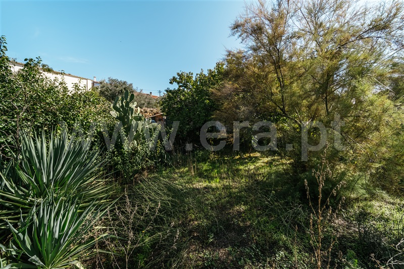 Moradia T5 com Jardim Covilhã, Paul - 1439482 - 20