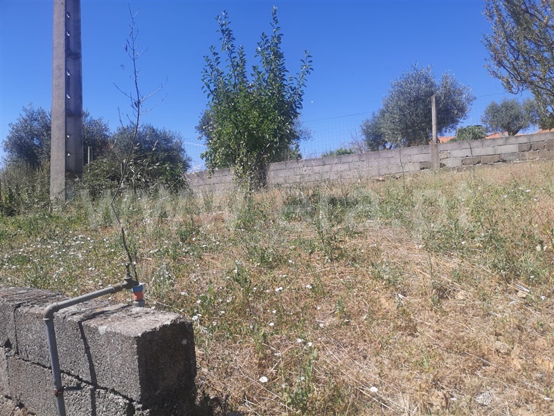 Moradia Geminada T5 Vimioso, Argozelo - 1343918 - 3