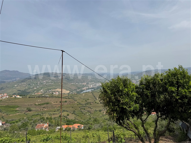 Moradia T6+ à venda em Cambres, Lamego — foto 17