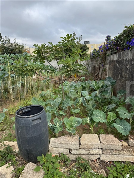 Moradia  com Terreno Gondomar, Rio Tinto - Carvalheiras - 1511849 - 16