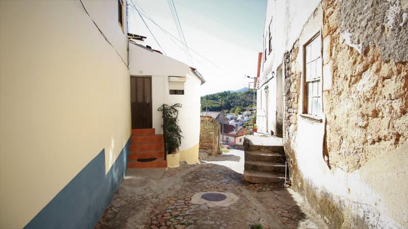 Moradia  Guarda, Gonçalo - 705432 - 12