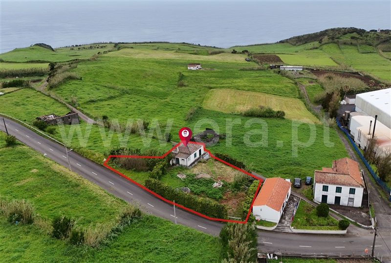 Moradia / Horta, Cedros