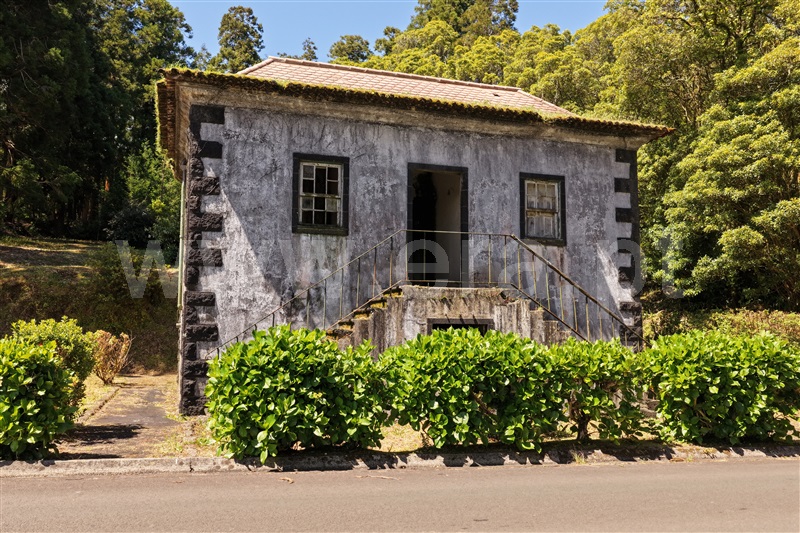 Moradia / Horta, Flamengos