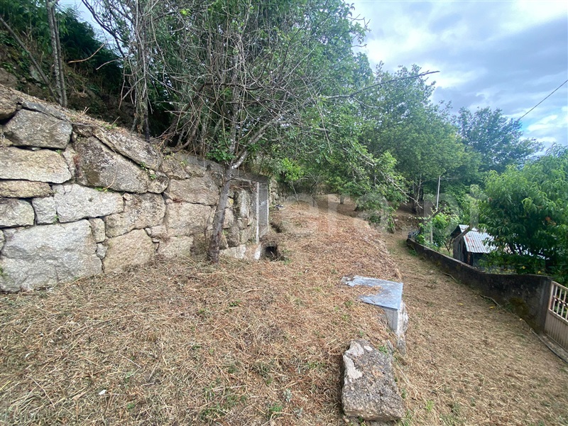 Moradia Isolada  Baião, Baião (Santa Leocádia) e Mesquinhata - 1490765 - 3