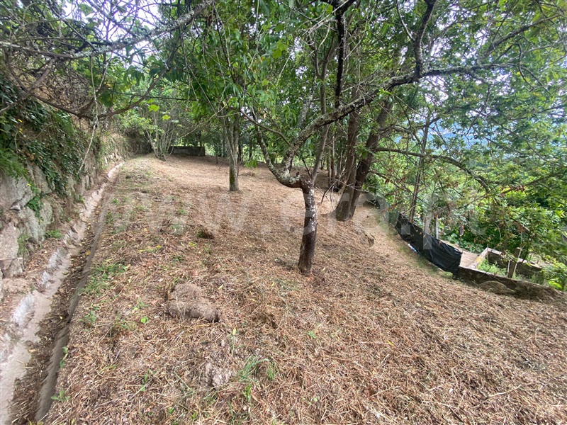 Moradia Isolada  Baião, Baião (Santa Leocádia) e Mesquinhata - 1490765 - 5
