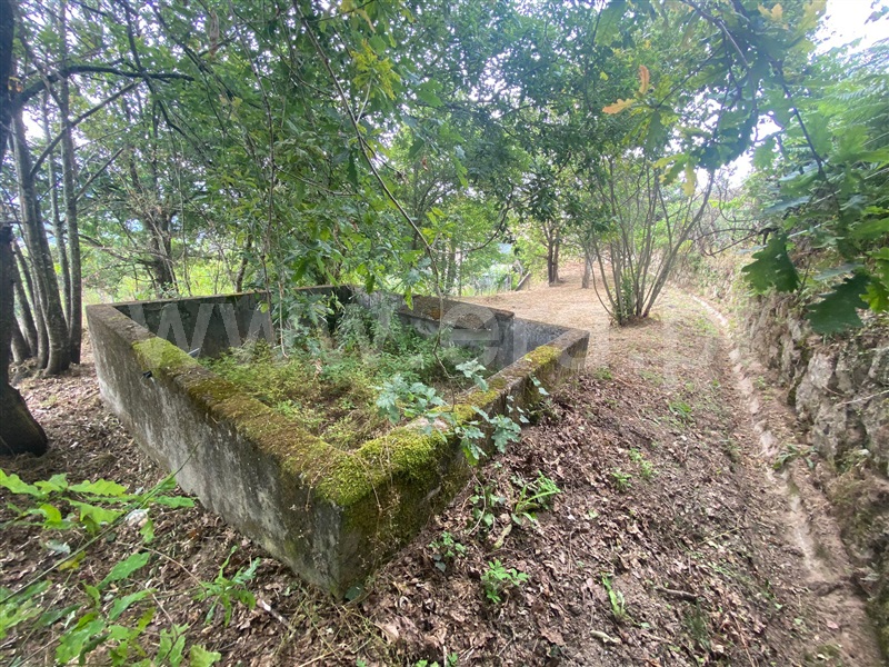 Moradia Isolada  Baião, Baião (Santa Leocádia) e Mesquinhata - 1490765 - 6
