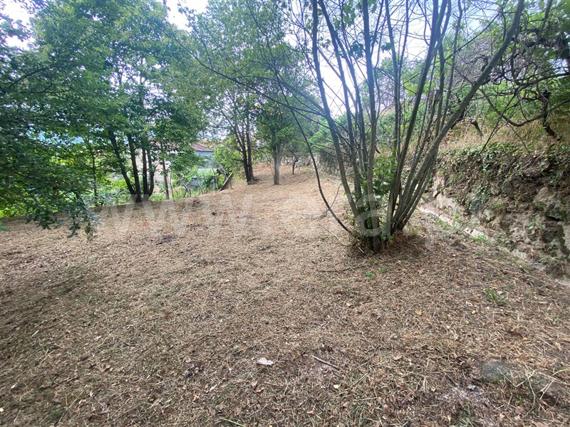 Moradia Isolada  Baião, Baião (Santa Leocádia) e Mesquinhata - 1490765 - 7
