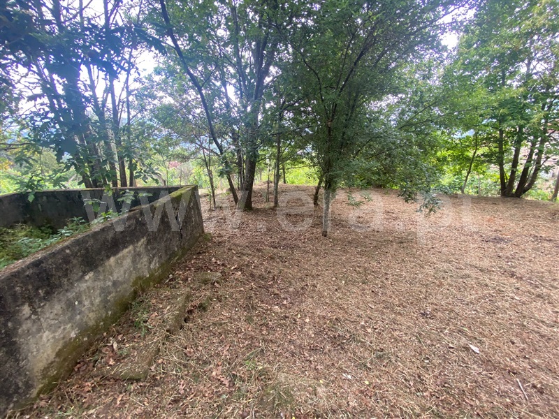 Moradia Isolada  Baião, Baião (Santa Leocádia) e Mesquinhata - 1490765 - 8