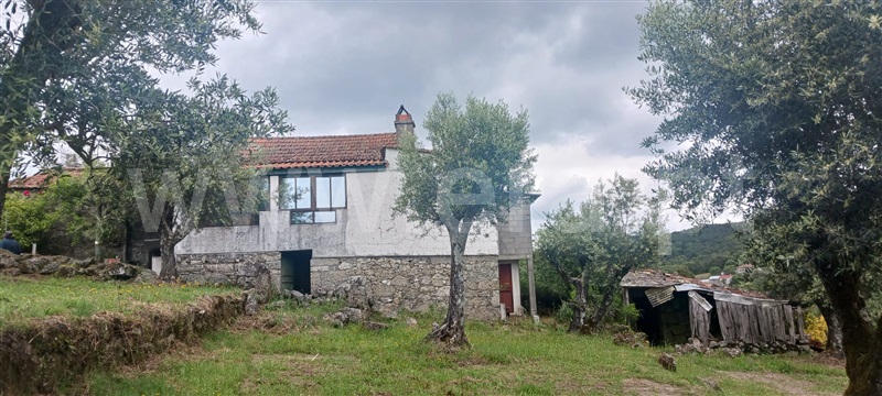 Moradia Isolada T2 Fornos de Algodres, Algodres - 1406274 - 1