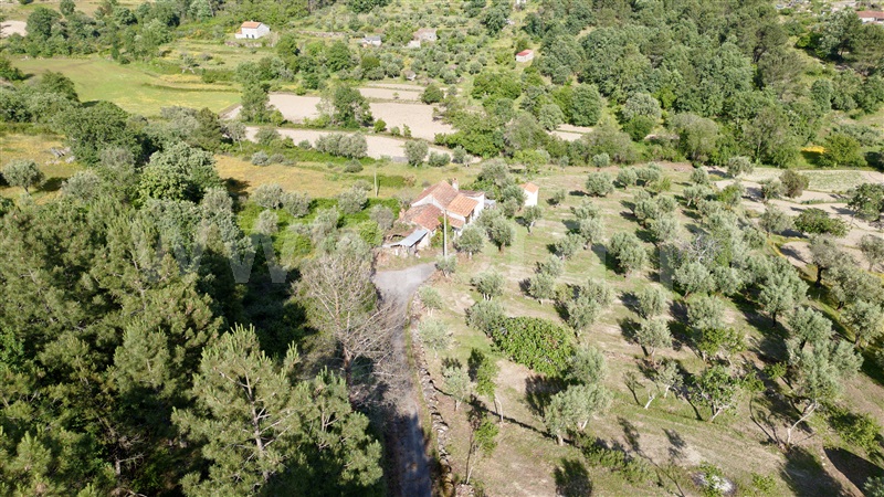 Moradia Isolada  Fornos de Algodres, Algodres - 1406274 - 8
