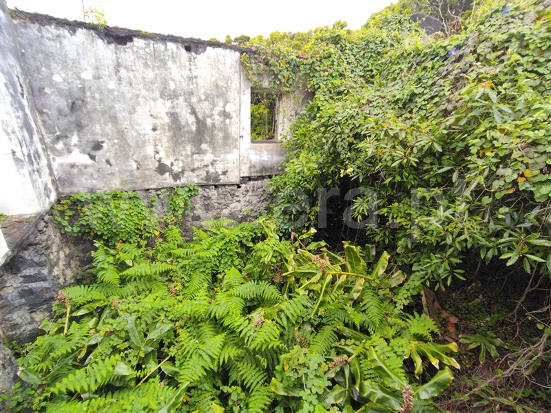 Moradia à venda em Capelo, Horta — foto 12
