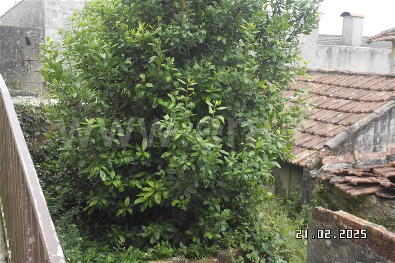 Moradia Isolada  Paredes, Rebordosa - 1490701 - 8
