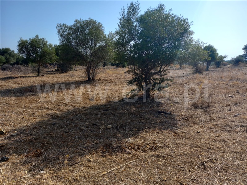 Moradia T1 à venda em Santa Bárbara de Nexe, Faro — foto 6
