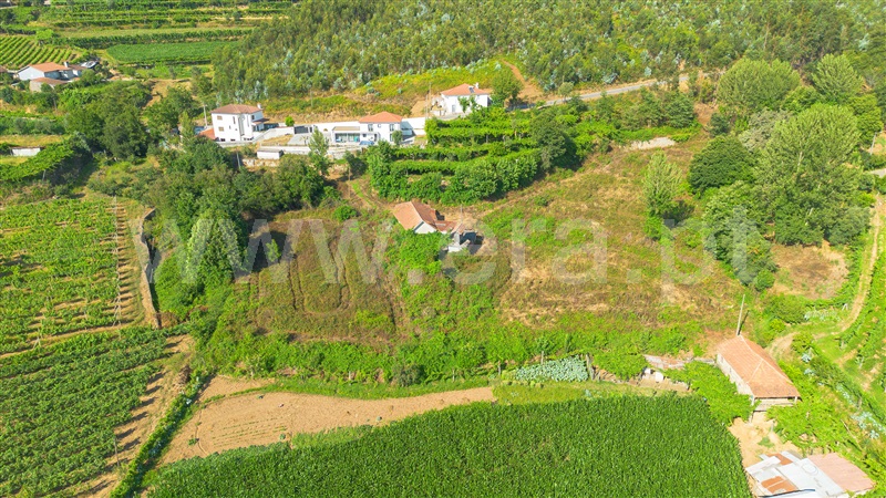 Moradia Isolada T1 Felgueiras, Friande - 1495440 - 2
