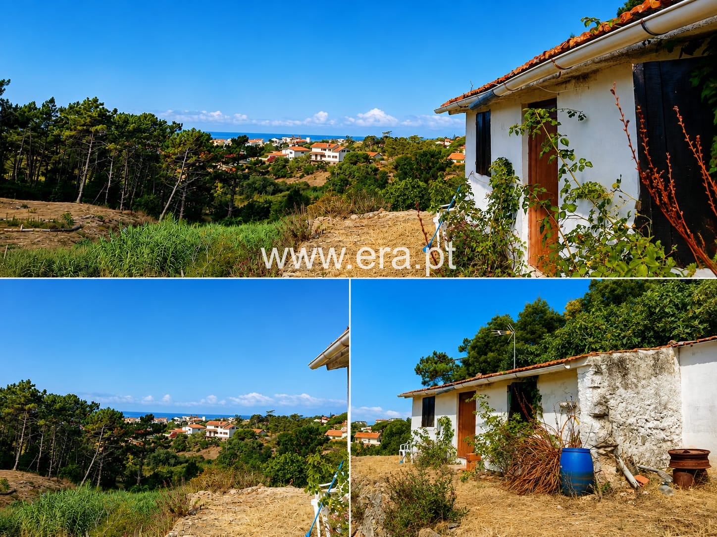 Moradia Isolada T1 / Figueira da Foz, Vais
