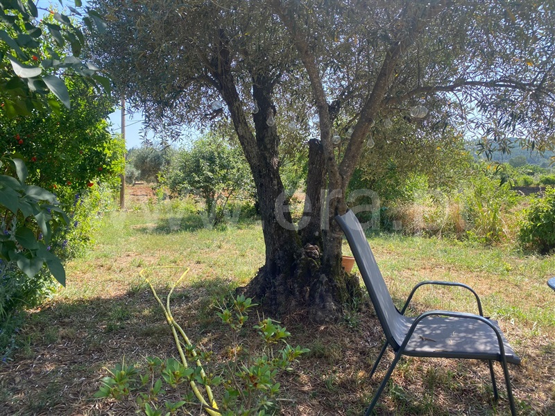Moradia Isolada T1 Fundão, Enxames - 1489323 - 7
