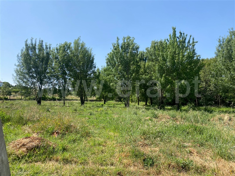 Moradia Isolada T1 Fundão, Enxames - 1489323 - 17