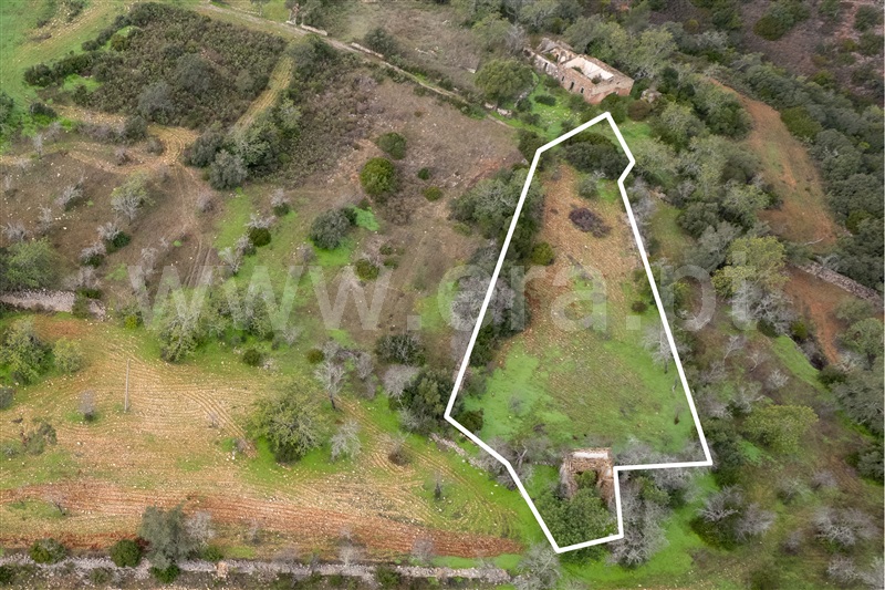 Moradia T1 à venda em Querença, Tôr e Benafim, Loulé — foto 3