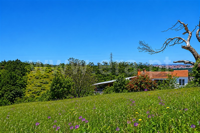 Moradia T1 à venda em Usseira, Óbidos — foto 13