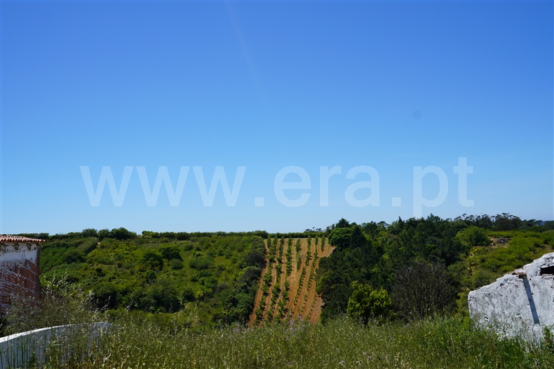 Moradia T1 à venda em Usseira, Óbidos — foto 14