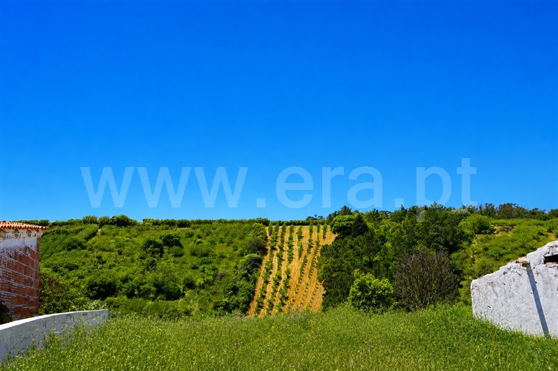 Moradia T1 à venda em Usseira, Óbidos — foto 15
