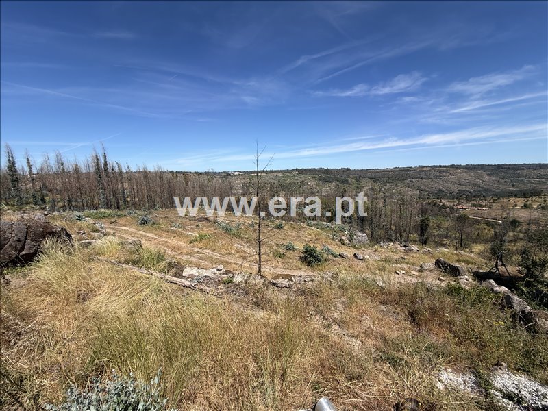 Moradia T1 à venda em Póvoa de São Cosme, Oliveira do Hospital — foto 10
