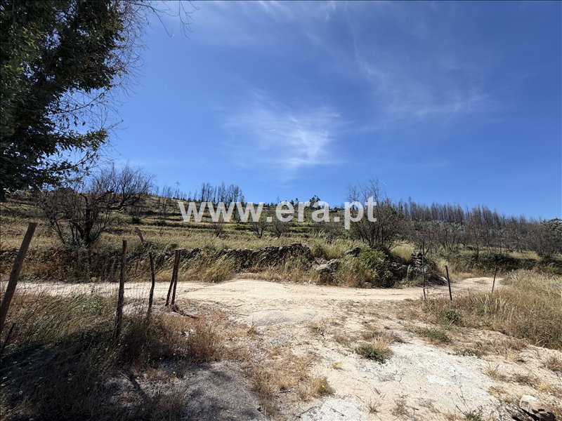 Moradia T1 à venda em Póvoa de São Cosme, Oliveira do Hospital — foto 19