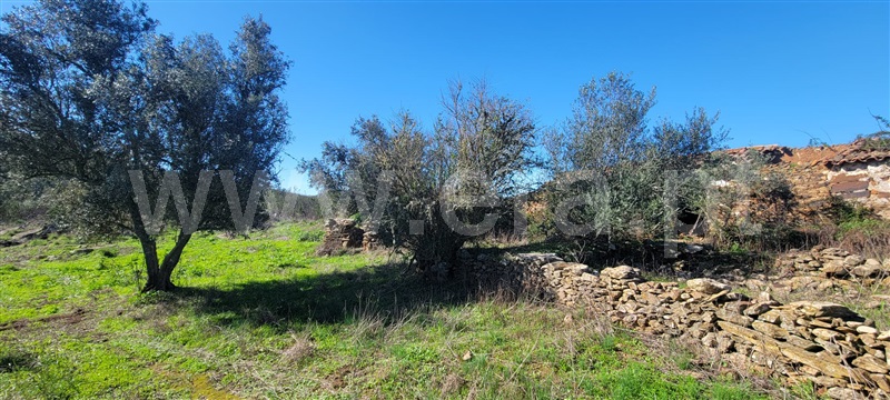 Moradia Isolada T1 / Ourique, Santana da Serra