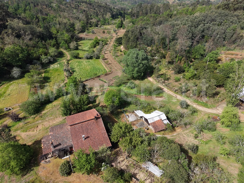 Moradia T1 à venda em Ínsua, Penalva do Castelo — foto 3