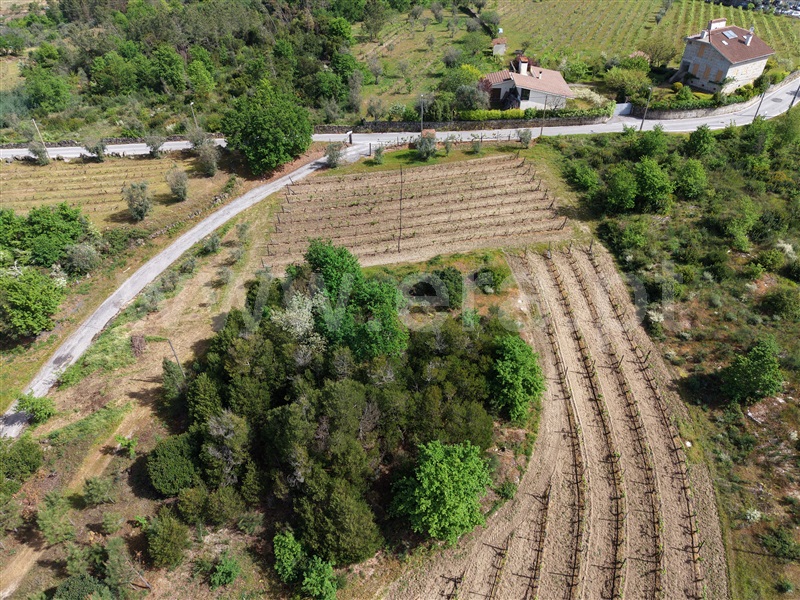 Moradia T1 à venda em Ínsua, Penalva do Castelo — foto 4