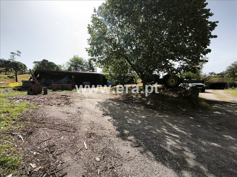 Moradia T1 à venda em Ínsua, Penalva do Castelo — foto 15