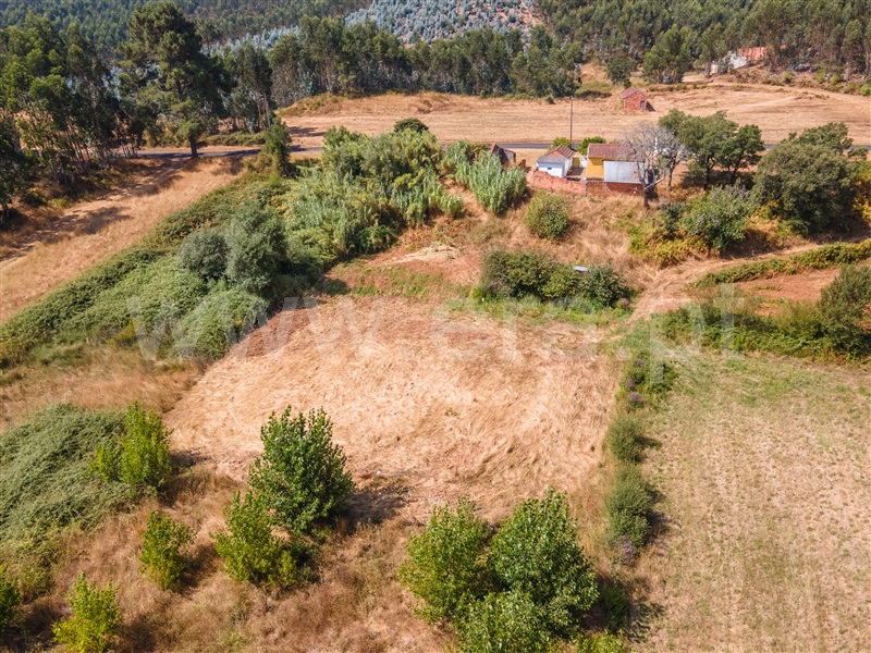 Moradia Isolada T1 Rio Maior, Fráguas - 1495062 - 5