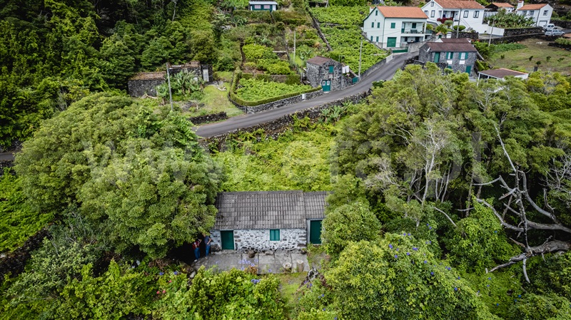 Moradia Isolada T1 / São Roque do Pico, Prainha