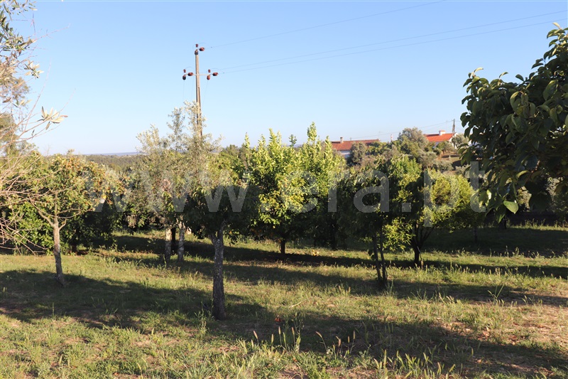 Moradia T1 à venda em Cabeça das Mós, Sardoal — foto 9