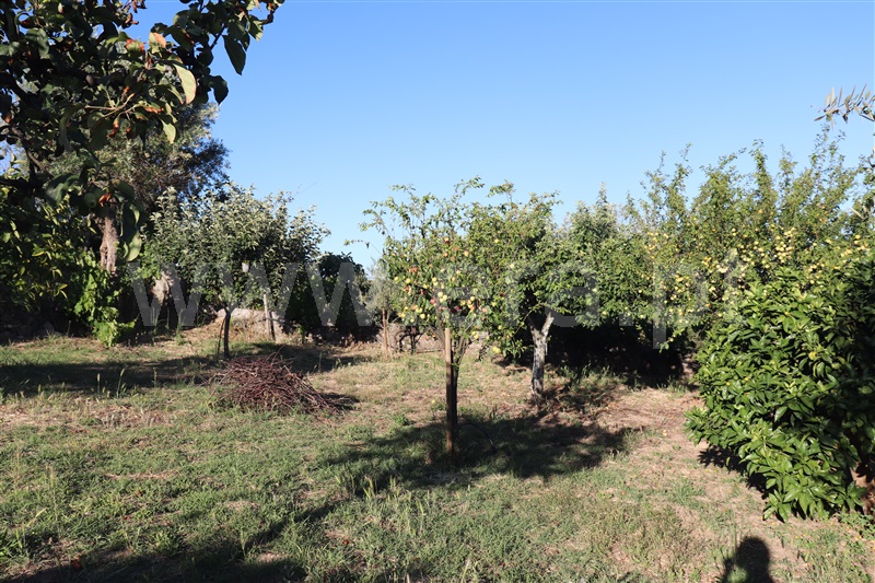 Moradia T1 à venda em Cabeça das Mós, Sardoal — foto 10