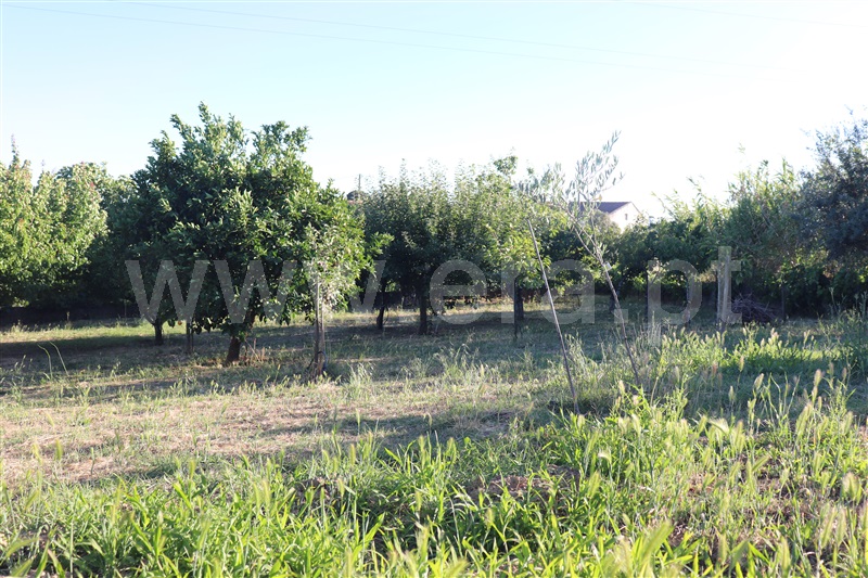 Moradia T1 à venda em Cabeça das Mós, Sardoal — foto 11